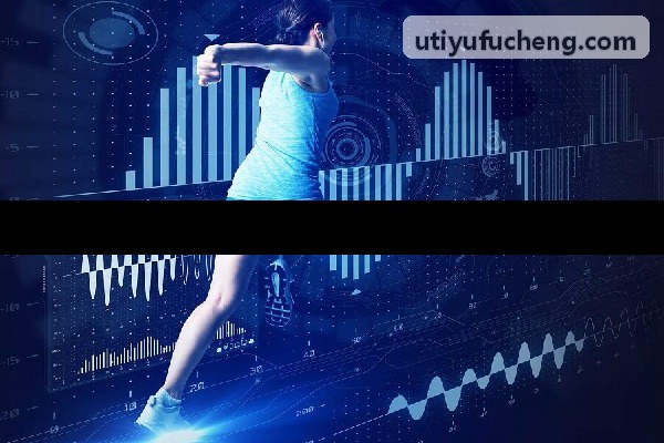 U体育硬件连接与多源协议架构